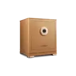 AIPU Xinrui Series Smart Safe BGX-X1-45XR